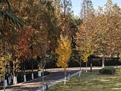 -太阳岛度假酒店