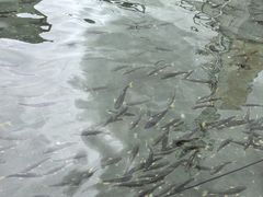 -青海湖二郎剑景区