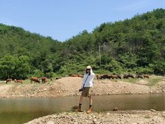 -木兰云雾山