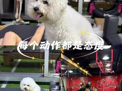 -UP健身私教馆(南山书城店)