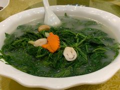 高汤浸桑叶-九大簋家宴(北京路店)