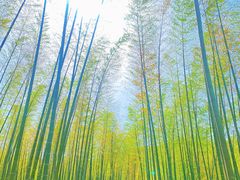 -山菜馆(竹海公园店)