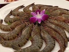 -许鲜生健康生活馆·精细潮菜(奥绅体育公园店)