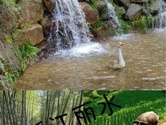 -古堰画乡景区