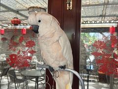 -四海楼(如皋定慧禅寺店)