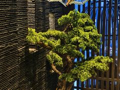 -上足·影院足道·SPA(红岭店)