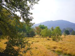 -塔川景区