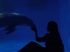 -多彩贵州城极地海洋世界