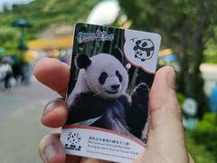 -香港海洋公园