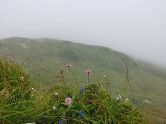 -秦岭风景区