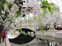 -海棠花溪(元大都城垣遗址公园)