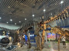 -国家自然博物馆