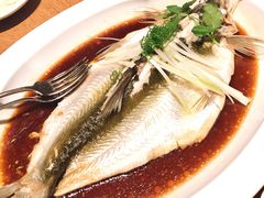 钱湖四宝-朋鱼-宁波柏悦酒店·钱湖渔港