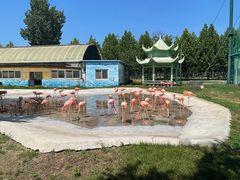 -秦皇岛野生动物园