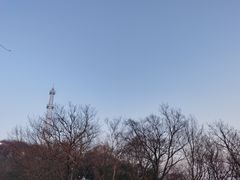 -紫金山山顶公园