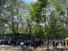 -长白岛森林公园