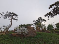 -罗红摄影艺术馆