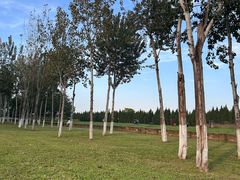 -汉长安城未央宫国家考古遗址公园