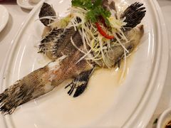 -凤凰楼酒家·粤宴点心(华强北店)