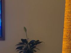 -浅深Cheersum(曹杨店)