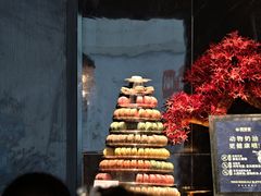 -雍容荟帝王蟹活龙虾展台自助(IFS黑金店)