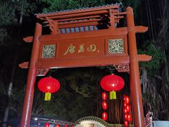 -侨美·唐荔园·40年地道粤菜