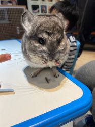 -酷嗒动物文化乐园(cutezoo西溪乐天城店)