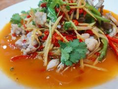 -盐与味葱葱鲫鱼•自贡菜江湖菜(春熙店)