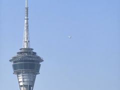 -澳门环岛游湾仔码头