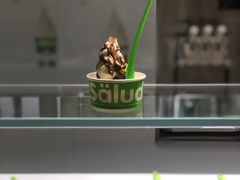 -Salud撒露欧洲冻酸奶(北苑上品店)