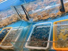 -星伦多自助料理·涮烤一体(虹悦城店)
