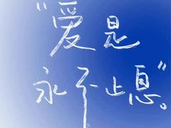 -伟伟宠物医院·瑞派猫友好医院·猫科(光谷店)