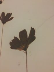 -时尚殿堂·颜SPA