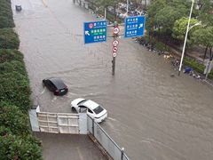 -嘉庚体育馆
