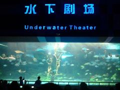 -泉城欧乐堡海洋极地世界