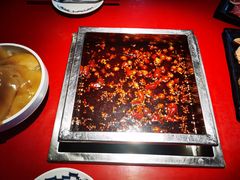 -二荆条·蜀鲜汇城市森林火锅