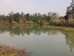 -桤木河湿地公园