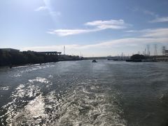 -运河游船(武林门码头)