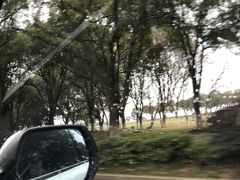 -阳澄湖半岛旅游度假区
