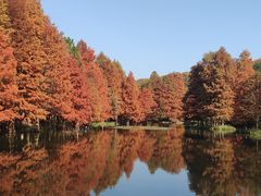 -应天大明王朝·南京菜(中山陵店)