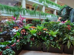 -广州白天鹅宾馆