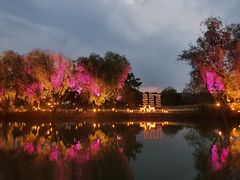 -长兴太湖图影湿地文化园