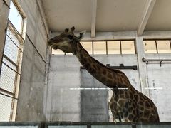 -石家庄市动物园