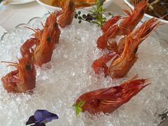 熟醉虾-上海小南国(世博源店)