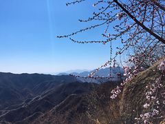 -大岭沟猕猴桃谷风景区