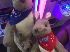 -PAWTOY爪e玩偶店(天兴罗斯福店)