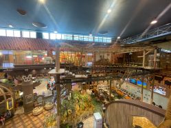 点击看大图 -卡通尼·Safari非洲探索乐园·生日会(金桥国际商业广场店)