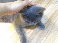-壹人壹像工作室(购物公园店)