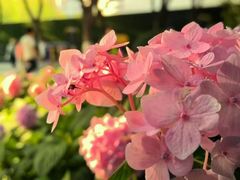 -常州古运河南大街文化旅游区-人民公园