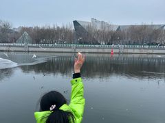 -海河游船-永乐码头(大悲院)